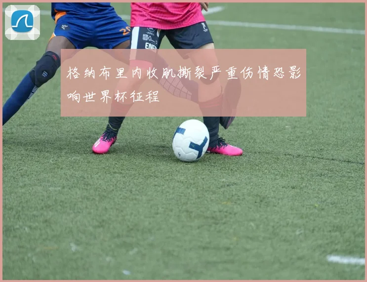 格纳布里内收肌撕裂严重伤情恐影响世界杯征程